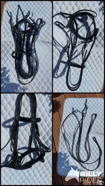 Schwarze Kandarre, Kavalkade , Jutta Jaskolka , Bridles & Headstalls, Ennepetal, Image 6
