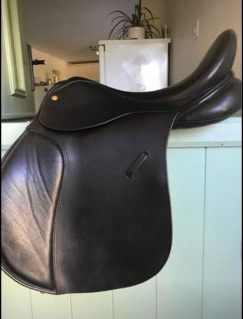 Black Gp saddle, Sadie, Vielseitigkeitssattel (VS), Dorset 