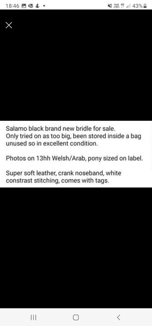 Black leather bridle Brand New!, Salamo, Megan, Bridles & Headstalls, Kelso, Image 2