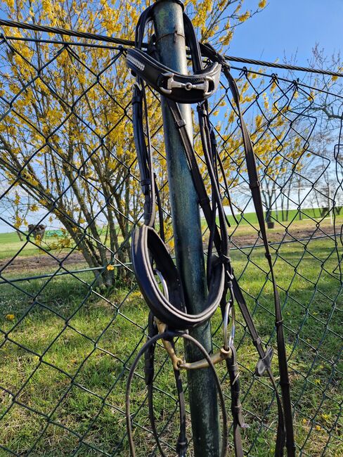 Schwarze Ledertrense WB, Lisa, Bridles & Headstalls, Wulkow, Image 2