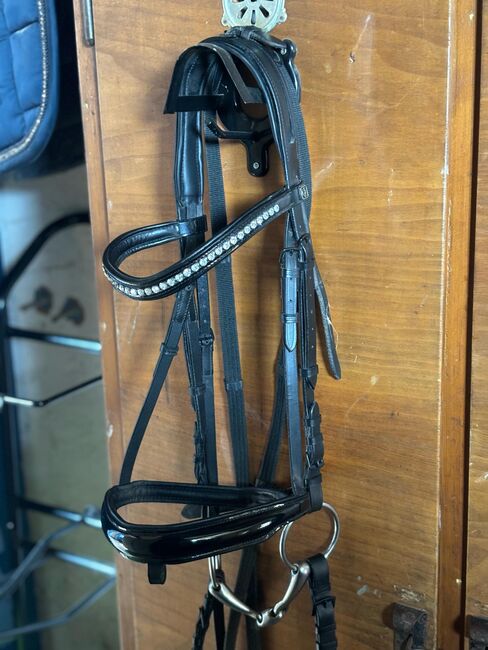 Schwarze Lack Trense Größe Cob, Selina D., Bridles & Headstalls, Hütschenhausen , Image 5