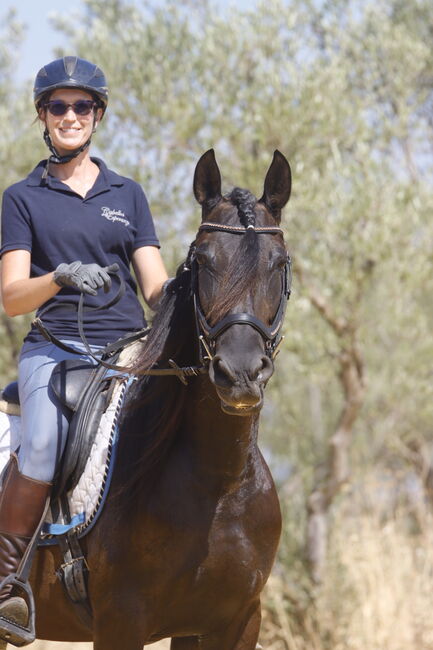 Black pearl looking for a dream home, Matilda, Pferd kaufen, Carmona, Abbildung 6