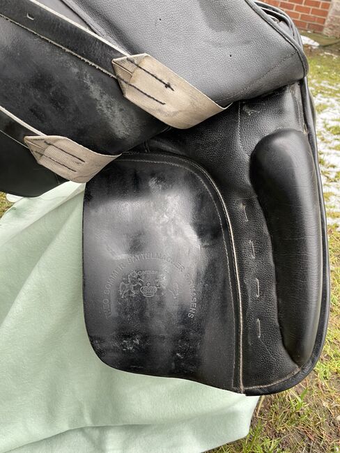 Black Sommer Meteor, Sommer Meteor , Vladis Tim, Dressage Saddle, Beeskow, Image 4