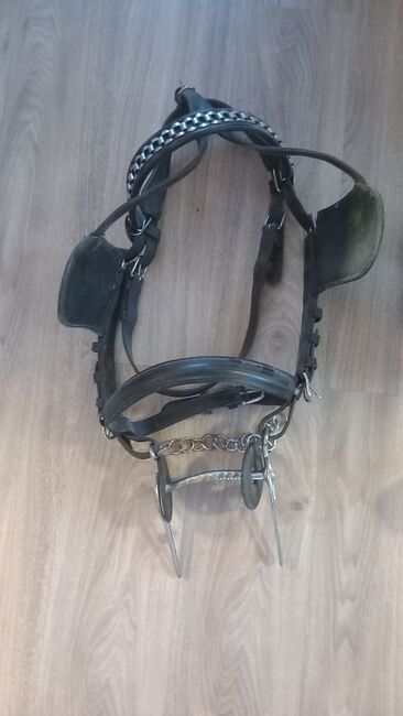 Konvolut verschiedene Gebisse und Kopfgestelle, Martina Schaerer , Horse Harness, Ostrach, Image 6