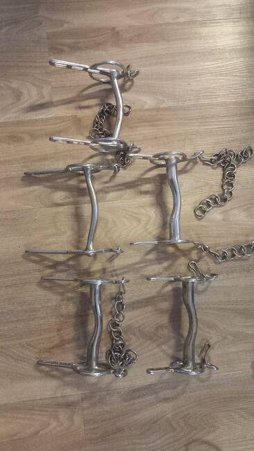 Konvolut verschiedene Gebisse und Kopfgestelle, Martina Schaerer , Horse Harness, Ostrach