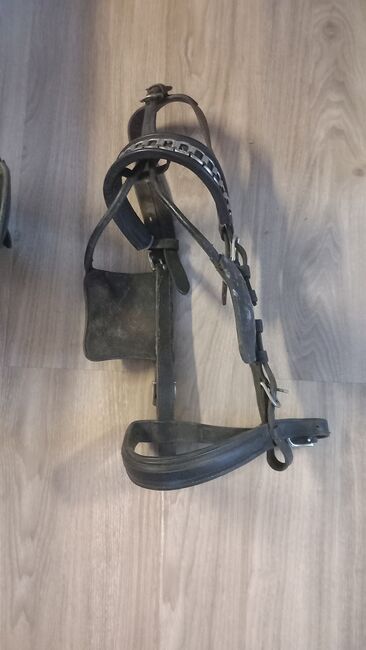 Konvolut verschiedene Gebisse und Kopfgestelle, Martina Schaerer , Horse Harness, Ostrach, Image 5