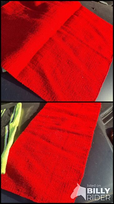 Blanket rot, M. Richter , Andere Pads, Königswinter, Abbildung 3