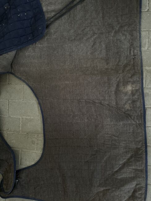 Decke und Schabracken, Laura Kim Gergeleit, Horse Blankets, Sheets & Coolers, Rellingen, Image 8