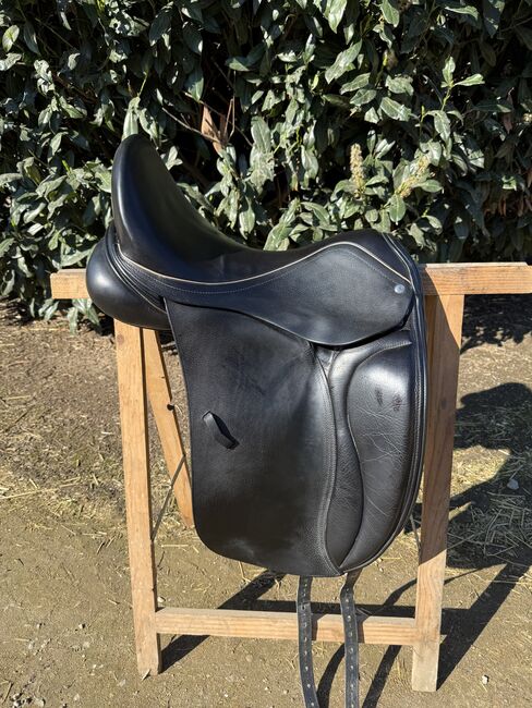 Bliss of London, 17,5 Loxley Dressage, Bliss of London Lord Loxley, Martina, Dressursattel, Jülich, Abbildung 4