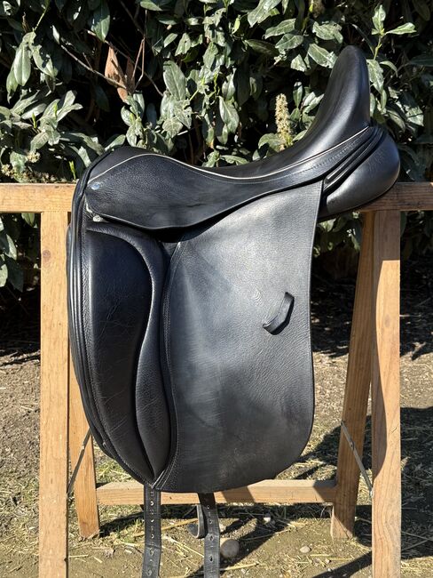 Bliss of London, 17,5 Loxley Dressage, Bliss of London Lord Loxley, Martina, Dressage Saddle, Jülich