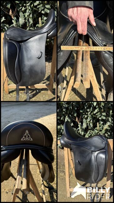 Bliss of London, 17,5 Loxley Dressage, Bliss of London Lord Loxley, Martina, Dressage Saddle, Jülich, Image 6