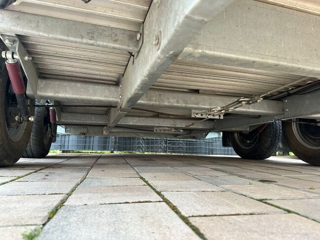 ❗️Blomert Nairobi Alu Saka Aluboden Pferdeanhänger Pferdehänger, Blomert  Nairobi, Fuchs Daniel, Ellgau - Pferdeanhänger seit 2016  (Nutzfahrzeughandel und Vermietung Daniel Fuchs ), Horse Trailers, Ellgau , Image 2