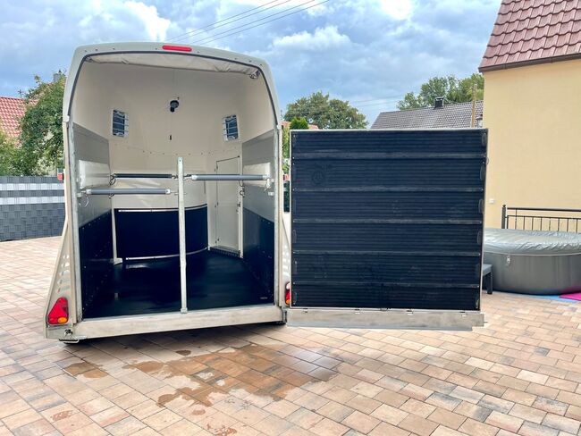 ❗️Blomert New Star Alu Saka Pferdeanhänger Pferdehänger, Blomert  New Star, Fuchs Daniel, Ellgau - Pferdeanhänger seit 2016  (Nutzfahrzeughandel und Vermietung Daniel Fuchs ), Horse Trailers, Ellgau , Image 16