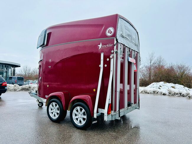 Blomert New Star Vollpolyester 2 Pferdeanhänger, Blomert  New Star , Sport- und Freizeitpferde Fuchs (Sport- und Freizeitpferde Fuchs), Horse Trailers, Ehingen, Image 19