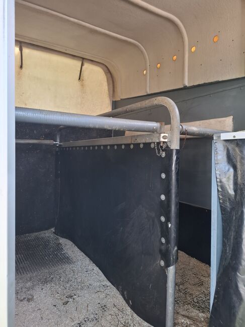Pferdeanhänger Blomert, Blomert , Margit, Horse Trailers, Hallwang bei Salzburg , Image 4