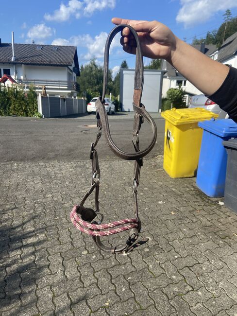 Barefoot sidepull mit Zügeln, Barefoot, Naddel, Bitless Bridles, Neunkirchen