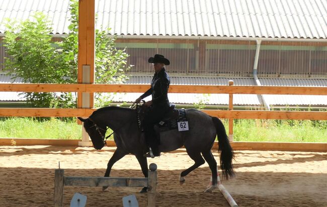 Blue roan Quarter Horse Stute mit guter Ausbildung, Kerstin Rehbehn (Pferdemarketing Ost), Horses For Sale, Nienburg, Image 2