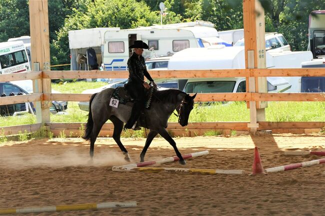 Blue roan Quarter Horse Stute mit guter Ausbildung, Kerstin Rehbehn (Pferdemarketing Ost), Horses For Sale, Nienburg, Image 4