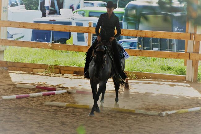 Blue roan Quarter Horse Stute mit guter Ausbildung, Kerstin Rehbehn (Pferdemarketing Ost), Horses For Sale, Nienburg, Image 3