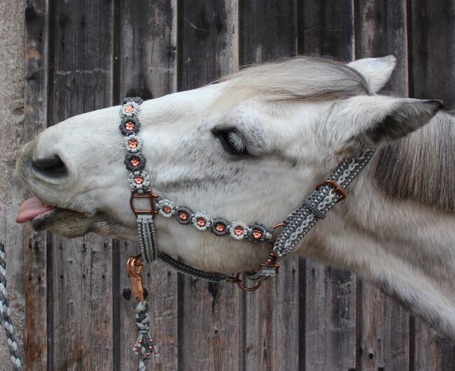 Blümchen Pferde-Halfter WB mit Strick Größe Warmblut aus  Paracord, Knotenwerke Handmade, Bettina Schlezak, Halters, Riedstadt, Image 3