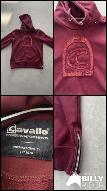 Cavallo Hoodie, Cavallo, Serena Fritschle, Koszulki i t-shirty, Uttenweiler, Image 7