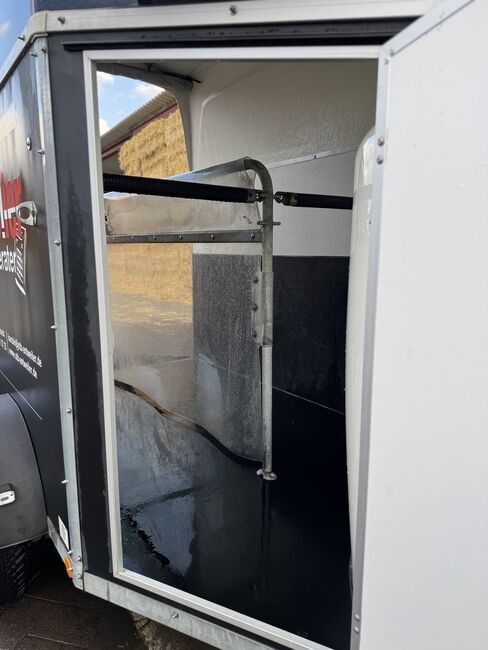 Pferdeanhänger Bockmann DUO R, Böckmann DUO R, Anna, Horse Trailers, Herschbach, Image 8