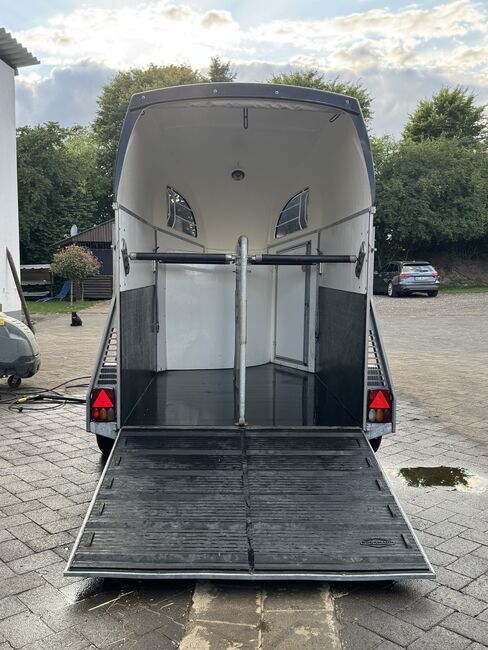 Pferdeanhänger Bockmann DUO R, Böckmann DUO R, Anna, Horse Trailers, Herschbach, Image 5