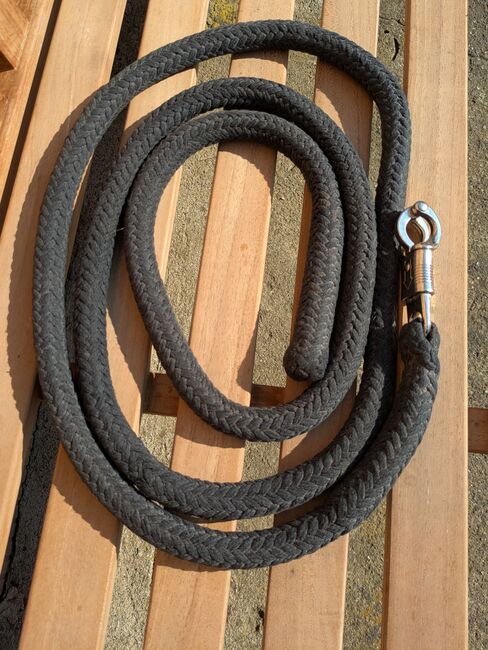 Bodenarbeitsseil, ponymausi, Bodenarbeit, Naumburg