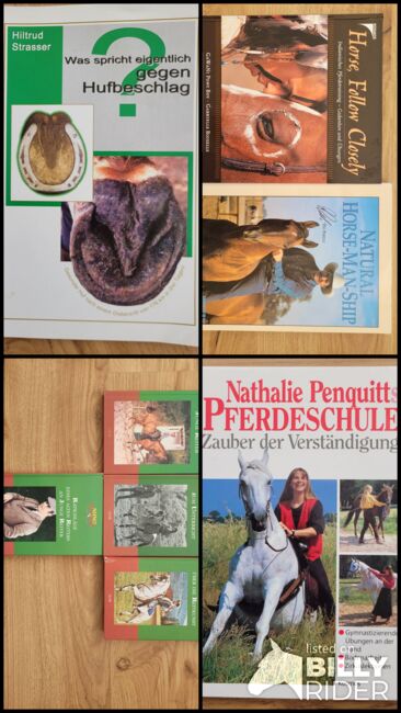 Bücher verschiedene Themen, Susanne, Books, GMÜND, Image 11