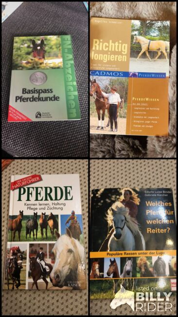 Bücher über Pferde, Nadine , Books, Lindau , Image 5