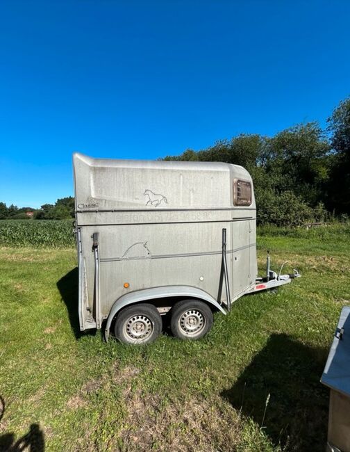 Böckmamn classic - Tüv 4/26 - 2t Gesamtgewicht, Böckmamn  Classic , Lisa Szyszka , Horse Trailers, Goldenstedt , Image 5
