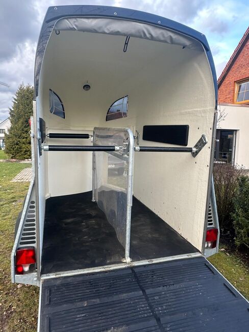 Böckmann 2er Pferdeanhänger, Böckmann Comfort, Clarissa Stadler, Horse Trailers, Isenbüttel, Image 6