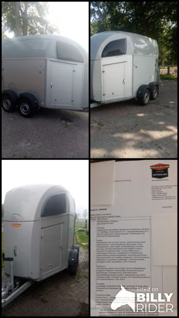 Böckmann Big Champion, Böckmann  Böckmann Big Champion , Ich, Horse Trailers, Filsum, Image 6