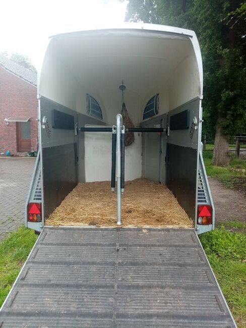 Böckmann Big Champion, Böckmann  Böckmann Big Champion , Ich, Horse Trailers, Filsum, Image 5