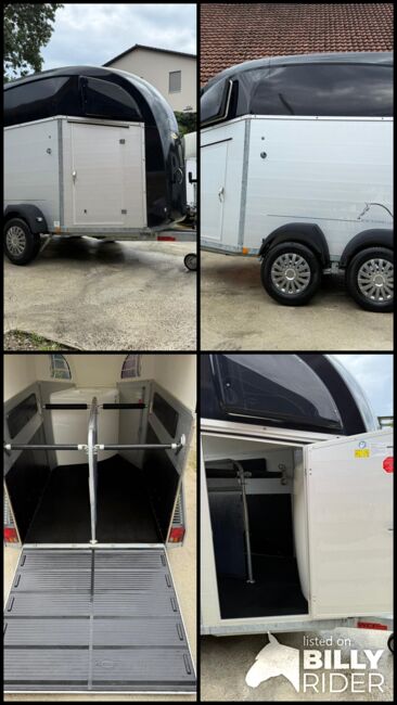 Böckmann Big Champion Pferdeanhänger, Böckmann Big Champion, Sport- und Freizeitpferde Fuchs (Sport- und Freizeitpferde Fuchs), Horse Trailers, Ehingen, Image 18