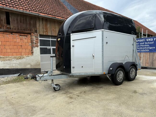 Böckmann Big Champion Pferdeanhänger, Böckmann Big Champion, Sport- und Freizeitpferde Fuchs (Sport- und Freizeitpferde Fuchs), Horse Trailers, Ehingen, Image 4