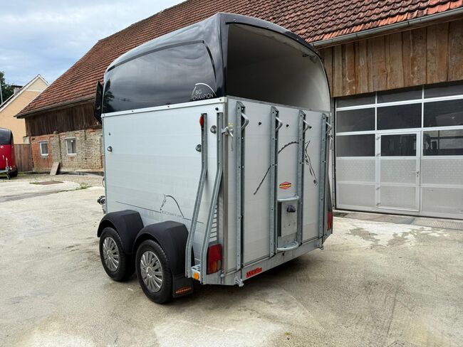 Böckmann Big Champion Pferdeanhänger, Böckmann Big Champion, Sport- und Freizeitpferde Fuchs (Sport- und Freizeitpferde Fuchs), Horse Trailers, Ehingen, Image 6
