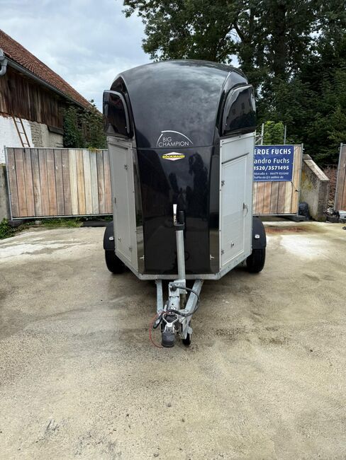Böckmann Big Champion Pferdeanhänger, Böckmann Big Champion, Sport- und Freizeitpferde Fuchs (Sport- und Freizeitpferde Fuchs), Horse Trailers, Ehingen, Image 3
