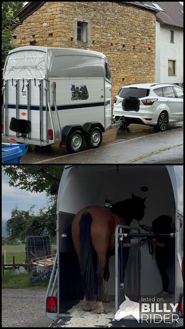 Pferdeanhänger Böckmann Champion Esprit 2t 2017/2018, Böckmann Champion Esprit, Manuela G., Horse Trailers, Schallbach, Image 3
