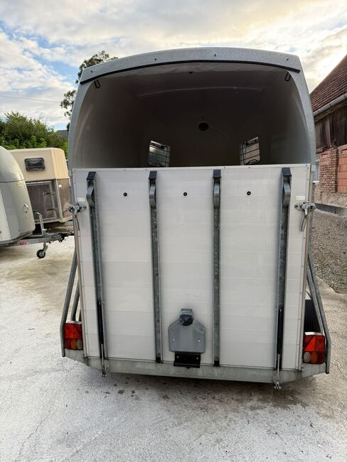 Böckmann Champion Esprit C, Böckmann Champion Esprit C, Sport- und Freizeitpferde Fuchs (Sport- und Freizeitpferde Fuchs), Horse Trailers, Ehingen, Image 5