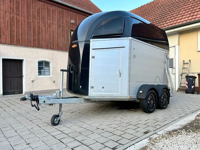 Böckmann Champion R, Böckmann  Champion R, Sport- und Freizeitpferde Fuchs, Horse Trailers, Ellgau