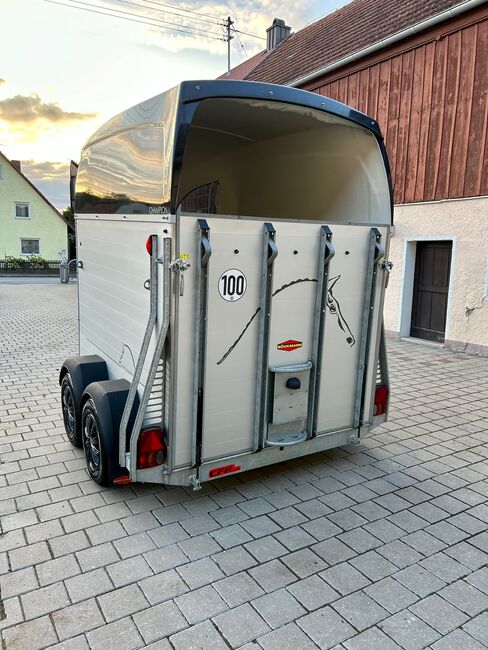 Böckmann Champion R, Böckmann  Champion R, Sport- und Freizeitpferde Fuchs, Horse Trailers, Ellgau, Image 14