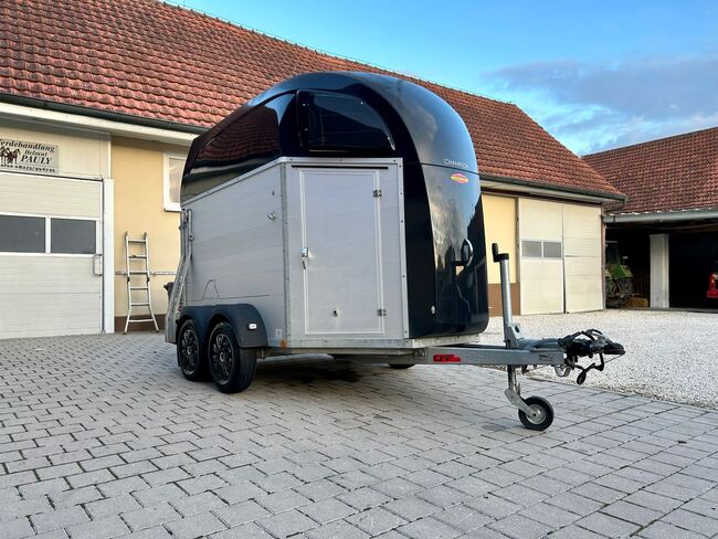 Böckmann Champion R, Böckmann  Champion R, Sport- und Freizeitpferde Fuchs, Horse Trailers, Ellgau, Image 10