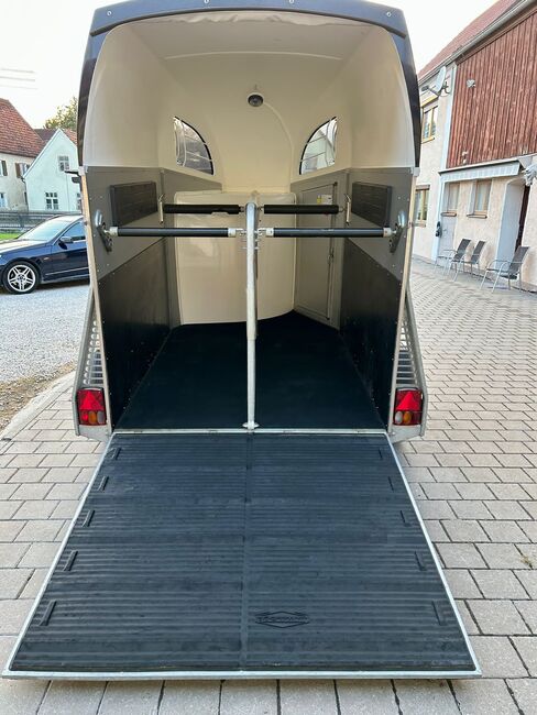 Böckmann Champion R, Böckmann  Champion R, Sport- und Freizeitpferde Fuchs, Horse Trailers, Ellgau, Image 3