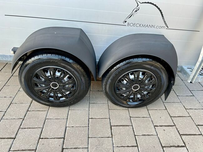 Böckmann Champion R, Böckmann  Champion R, Sport- und Freizeitpferde Fuchs, Horse Trailers, Ellgau, Image 6