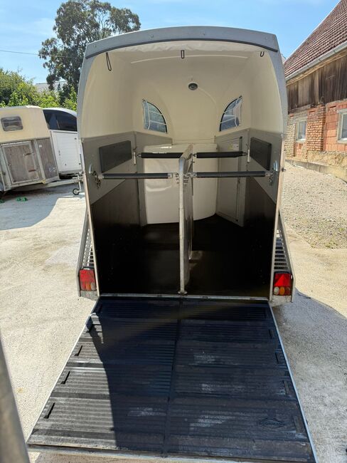 Böckmann Champion R Pferdeanhänger, Böckmann Champion R, Sport- und Freizeitpferde Fuchs (Sport- und Freizeitpferde Fuchs), Horse Trailers, Ehingen, Image 11