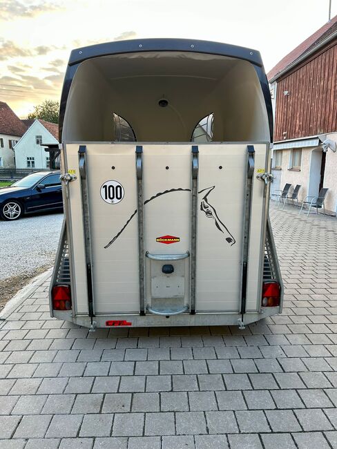 Böckmann Champion R, Böckmann  Champion R, Sport- und Freizeitpferde Fuchs, Przyczepa konna, Ellgau, Image 13