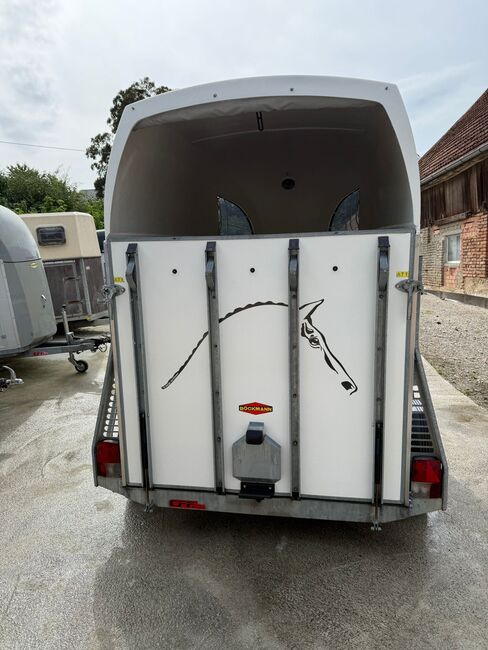 Böckmann Comfort, Böckmann Comfort, Sport- und Freizeitpferde Fuchs (Sport- und Freizeitpferde Fuchs), Horse Trailers, Ehingen, Image 9