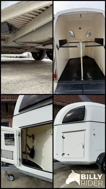 Böckmann Comfort, Böckmann Comfort, Sport- und Freizeitpferde Fuchs (Sport- und Freizeitpferde Fuchs), Horse Trailers, Ehingen, Image 21