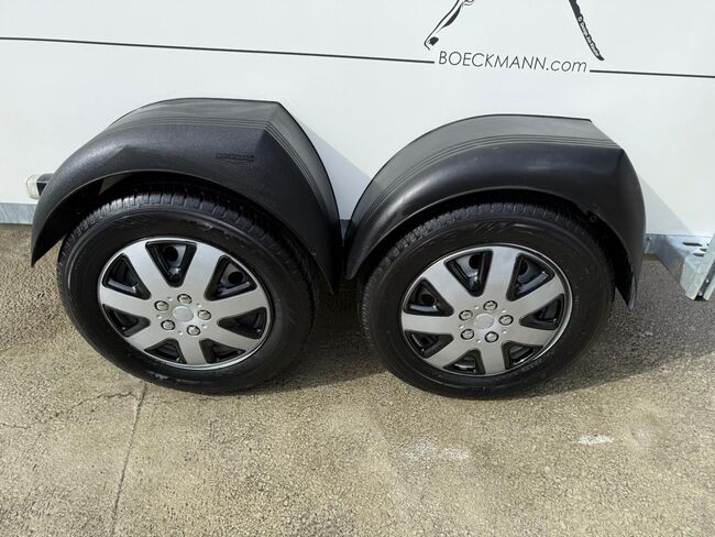 Böckmann Comfort, Böckmann Comfort, Sport- und Freizeitpferde Fuchs (Sport- und Freizeitpferde Fuchs), Horse Trailers, Ehingen, Image 16